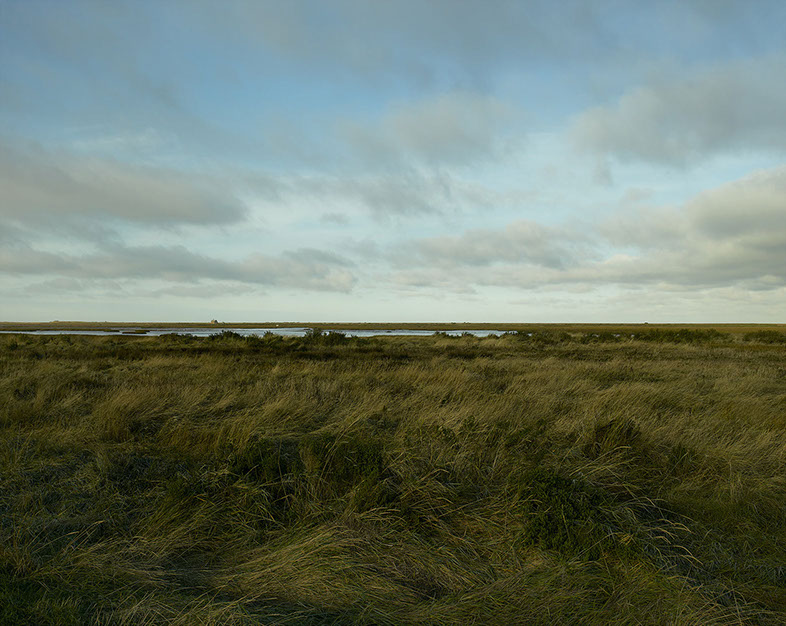 John Riddy 'Blakeney (2), 2021'