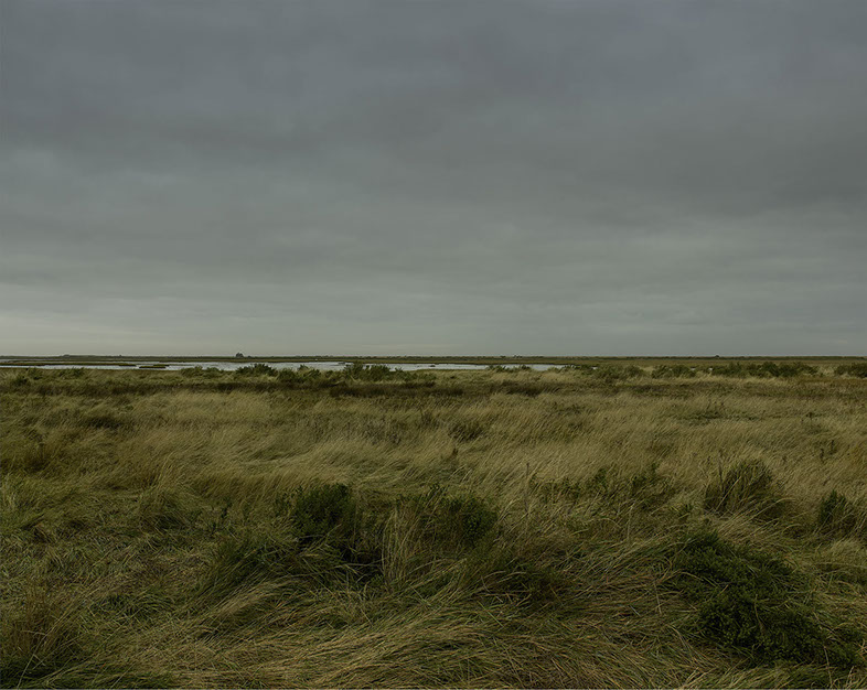 John Riddy 'Blakeney (3), 2021'