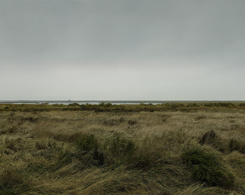 John Riddy 'Blakeney (4), 2022'