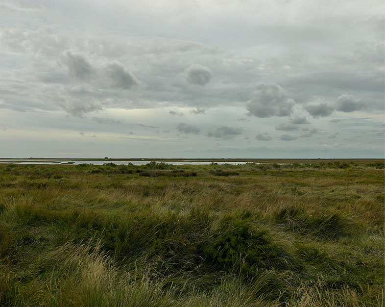 John Riddy 'Blakeney (9), 2022'