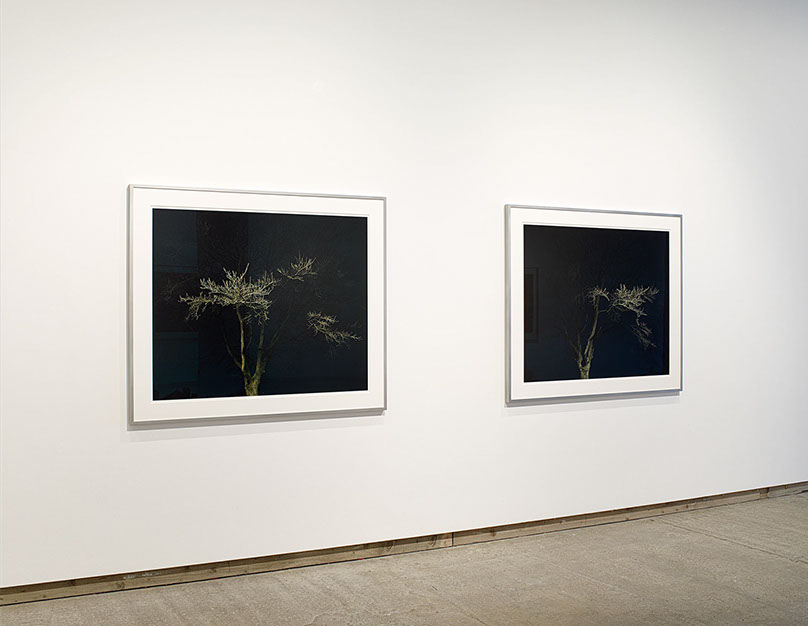 Installation view of John Riddy's exhibition "Half-light" at Frith Street Gallery in 2018