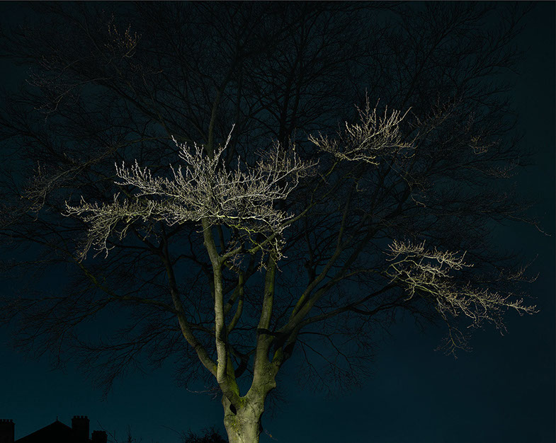 John Riddy London (Herne Hill 1) 2017