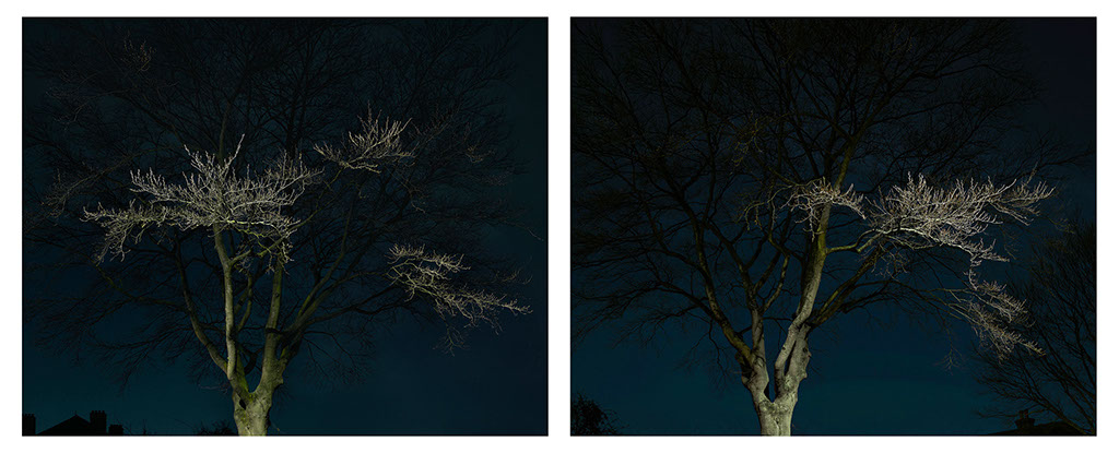 John Riddy London (Herne Hill 1 and 2) 2017