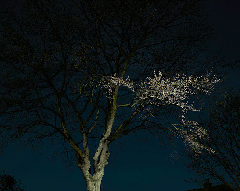 John Riddy London (Herne Hill 2) 2017