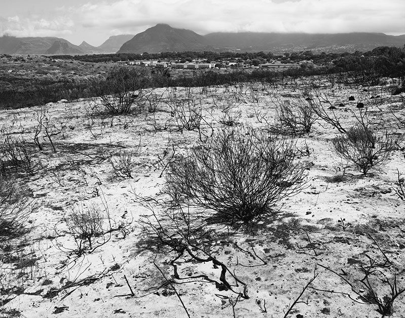 A photograph from John Riddy's series 'Peninsula'