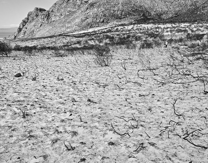 John Riddy Peninsula (Silvermine 1) 2015, Photograph of Western Cape South Africa