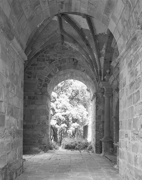 John Riddy Navarre 1996