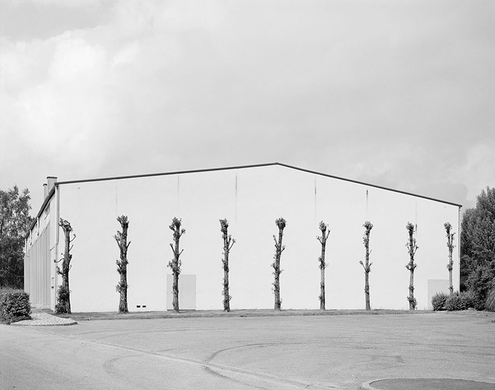 John Riddy Normandy 1995