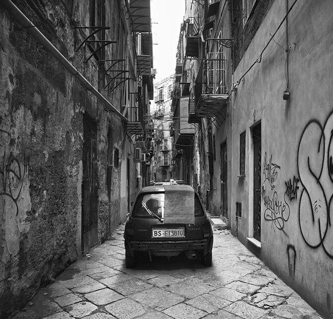 John Riddy Palermo (Frangiai) 2012