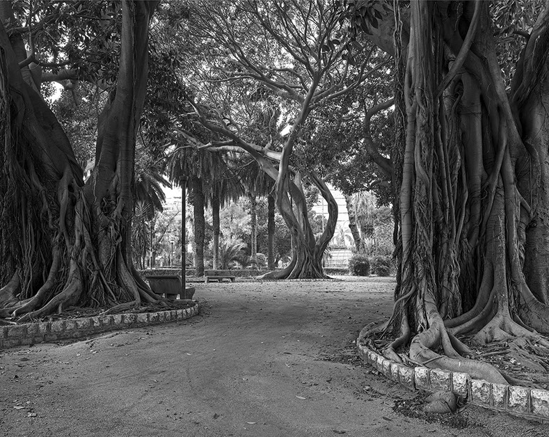 A photograph from John Riddy's series 'Palermo'