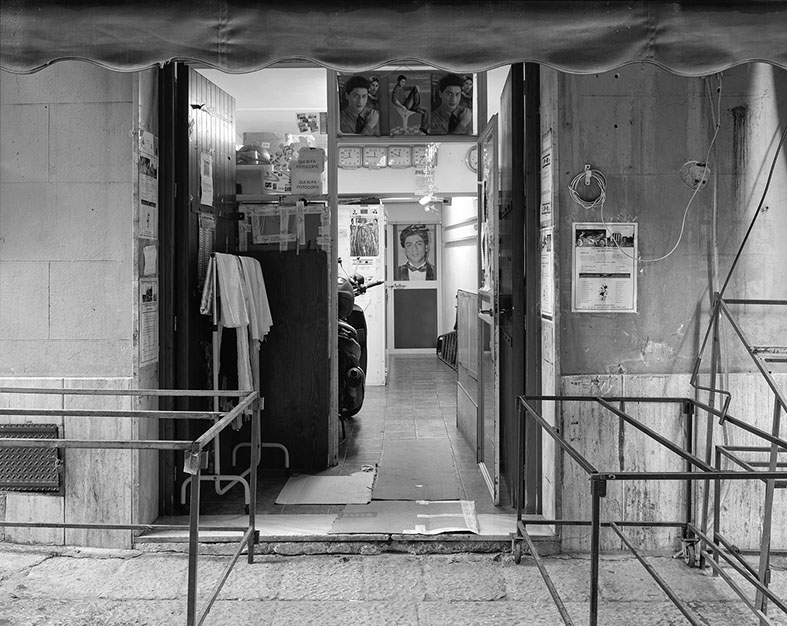 John Riddy Palermo (Il Capo) 2013