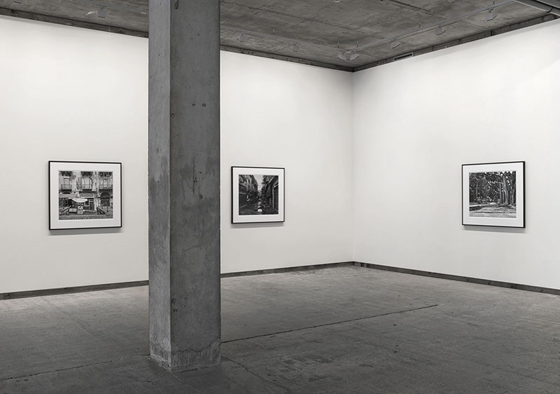 Installation view of John Riddy's exhibition 'Palermo' at Frith Street Gallery in 2013