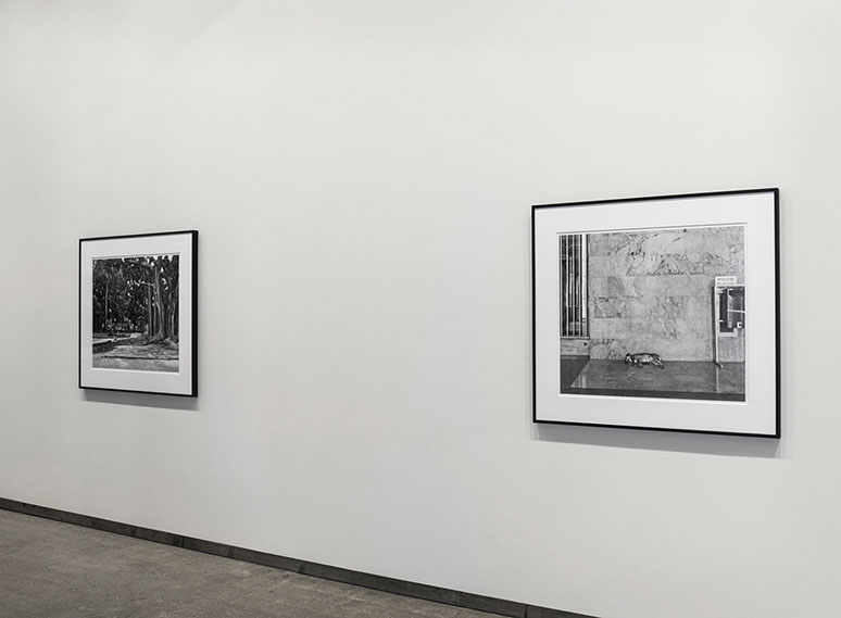 Installation view of John Riddy's exhibition 'Palermo' at Frith Street Gallery in 2013