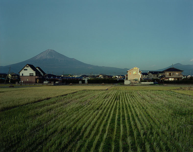 John Riddy Shin-Fuji (Field) 2005