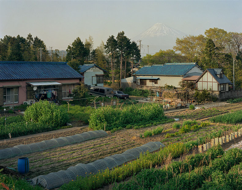 John Riddy Shin-Fuji (Garden) 2005