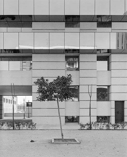 John Riddy Valencia 1996