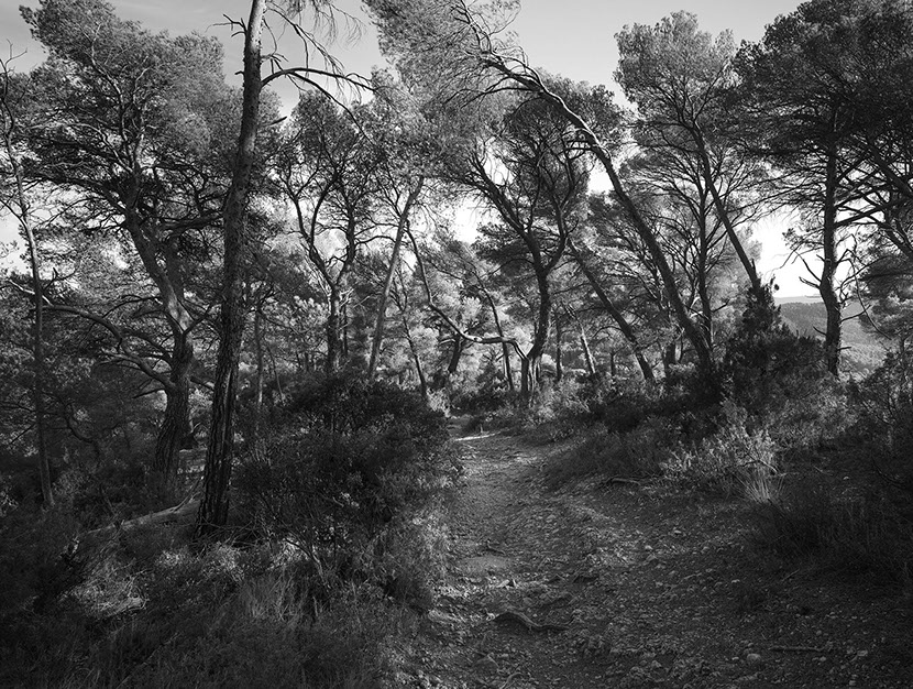 John Riddy 'Le Tholonet (towards Marseille) 2024'